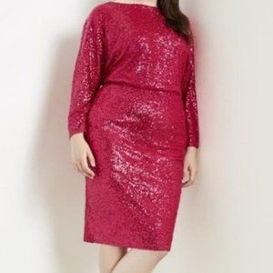 Sequin Dolman Sleeve Dress